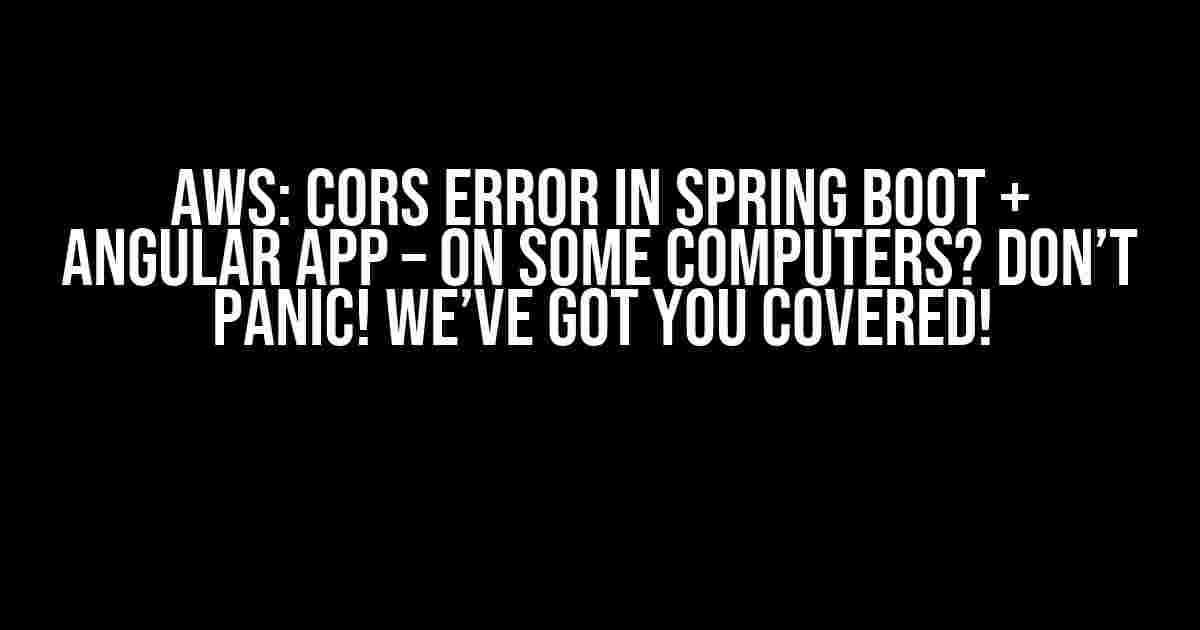 AWS: CORS Error in Spring Boot + Angular App – On Some Computers? Don’t Panic! We’ve Got You Covered!